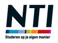 N.T.I. Nederlands Talen Instituut