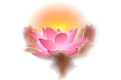 De heilige lotus reiki praktijk, Den Helder