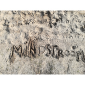 Logo Mindstroom, Uden